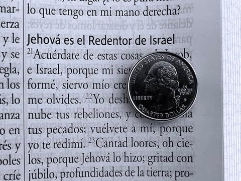 Image of BIBLIA RVR 1960 LETRA GIGANTE SIMIL PIEL VERDE CON PAJAROS CANTOS PINTADOS