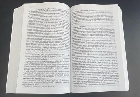 Image of Biblia BLB Lenguaje Básico Manga Rústica