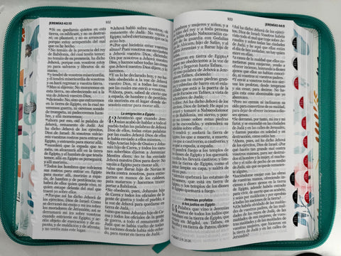 Image of BIBLIA RVR 1960 LETRA GRANDETAMANO MANUAL JARDIN LILA CIERRE INDICE SIMIL PIEL