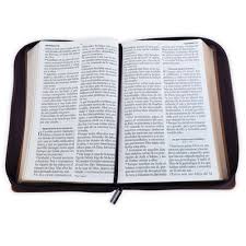 Image of BIBLIA RVR 1960 LETRA GIGANTE TAMANO MANUAL MONTES SIMIL PIEL