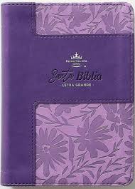 Image of BIBLIA RVR 1960 LETRA GRANDE TAMANO MANUAL BICOLOR LILA LILA SIMIL PIEL