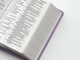Image of BIBLIA RVR 1960 LETRA GRANDE TAMANO MANUAL NEOCLASSIC LILA SIMIL PIEL