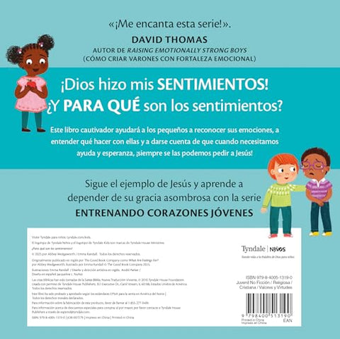 Image of PARA QUE SON LOS SENTIMIENTOS?