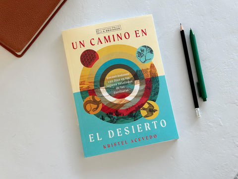 Image of UN CAMINO EN EL DESIERTO