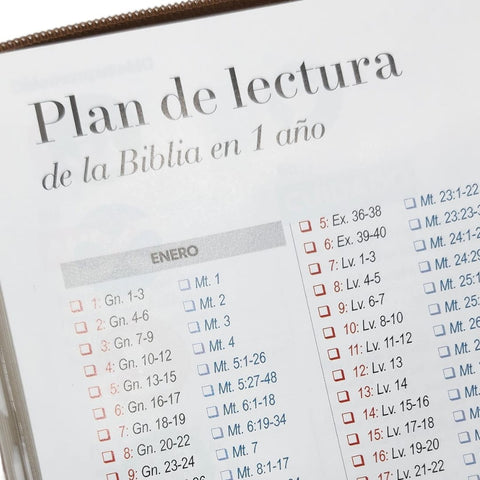 Image of Biblia RVR 1960 Letra Gigante Café Ichtus Símil Piel con Índice y Cierre