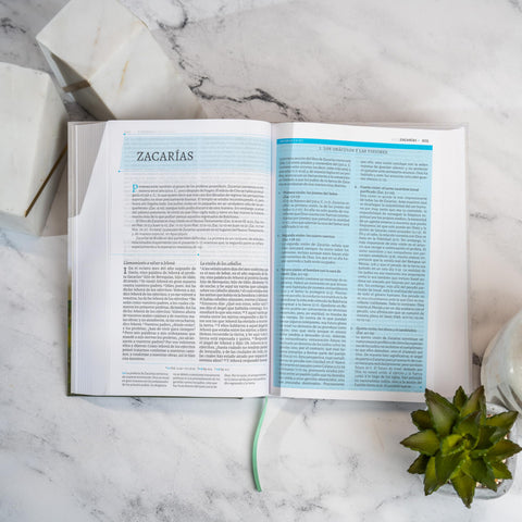 Image of Biblia RVR 1960 de Estudio de César Vidal Tapa Dura