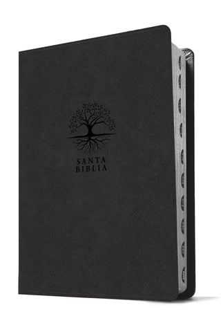 Image of Biblia RVR 1960 de Estudio del Diario Vivir Letra Grande Símil Piel Carbón Índice Letra Roja