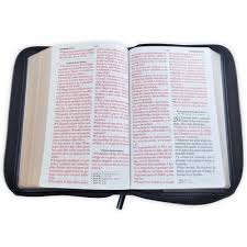 Image of BIBLIA RVR 1960 LETRA GIGANTE TAMANO MANUAL ESFORZAOS SIMIL PIEL