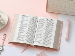 Image of BIBLIA RVR 1960 LETRA GRANDE TAMANO MANUAL NEOCLASSIC ROSA SIMIL PIEL