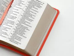 Image of BIBLIA RVR 1960 LETRA GRANDE TAMANO MANUAL NEOCLASSIC CORAL SIMIL PIEL
