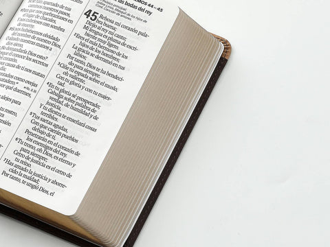 Image of BIBLIA RVR 1960 LETRA GRANDE TAMANO MANUAL BICOLOR CAFE CAFE SIMIL PIEL
