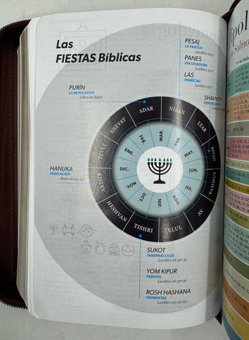 Image of Biblia RVR 1960 Letra Grande Compacta 11 Puntos Símil Piel Café Oscuro Cierre