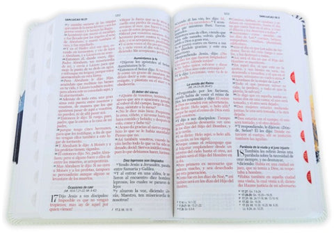 Image of BIBLIA RVR 1960 TAMANO MANUAL LETRA GRANDE COLECCION SUPREME AGUILA SOBRE MONTANAS SIMIL PIEL