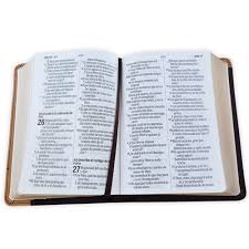 Image of BIBLIA RVR 1960 LETRA GRANDE TAMANO MANUAL NEOCLASSIC NEGRO SIMIL PIEL
