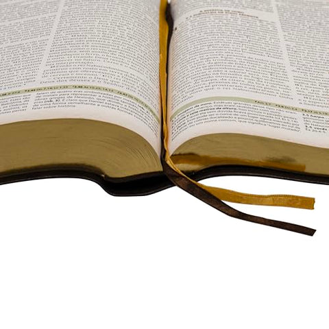 Image of BIBLIA EM PORTUGUES NAA DE ESTUDO IGREJA PRIMITIVA