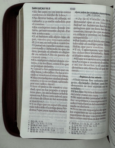 Image of Biblia RVR 1960 Letra Grande Compacta 11 Puntos Símil Piel Café Oscuro Cierre