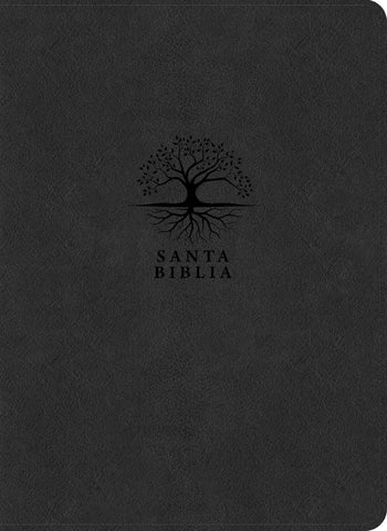 Image of Biblia RVR 1960 de Estudio del Diario Vivir Letra Grande Símil Piel Carbón Índice Letra Roja