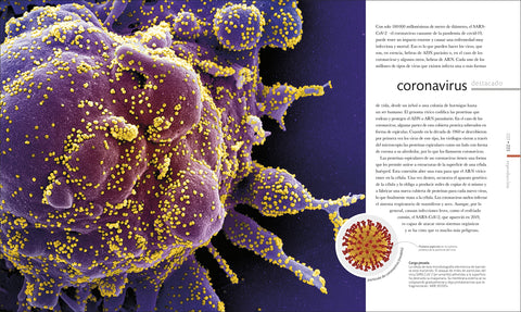 Image of Vida Microscópica