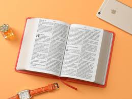 Image of BIBLIA RVR 1960 LETRA GRANDE TAMANO MANUAL NEOCLASSIC CORAL SIMIL PIEL