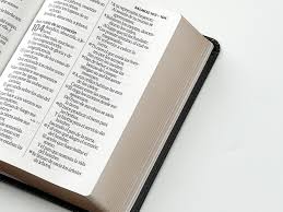 Image of BIBLIA RVR 1960 LETRA GRANDE TAMANO MANUAL NEOCLASSIC NEGRO SIMIL PIEL