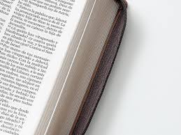 Image of BIBLIA RVR 1960 LETRA GIGANTE TAMANO MANUAL MONTES SIMIL PIEL