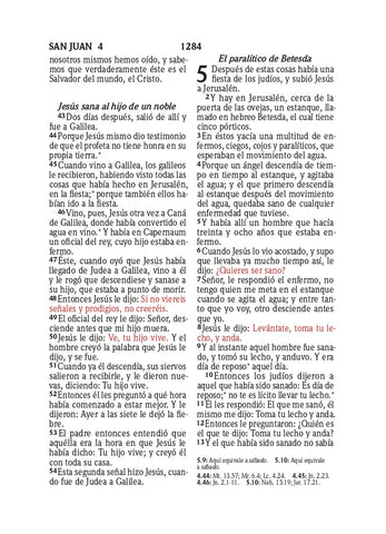 Image of Biblia RVR 1960 Compacta Símil Piel Juvenil Mariposa Palo Rosa