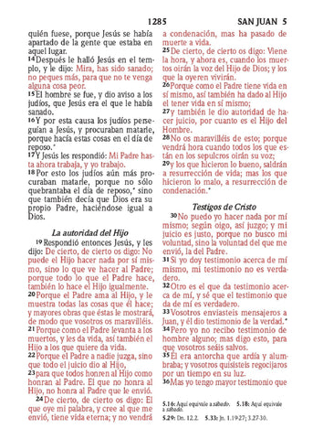 Image of Biblia RVR 1960 Compacta para Niños Animales Vinilo con Cierre