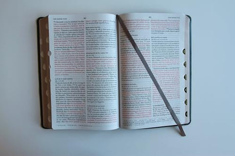 Image of Biblia RVR 1960 Letra Grande Tamaño Manual Grís Símil Piel con Índice