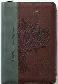 Image of BIBLIA RVR 1960 LETRA GIGANTE TAMANO MANUAL OLIVO SIMIL PIEL