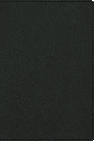 Image of BIBLIA NBLA PARA LA LECTURA PUBLICA VERSIFICADA LETRA GRANDE PIEL DE CABRA VERDE