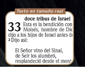 Image of Biblia RVR 2020 Letra Grande León de Judá Negro Rústica