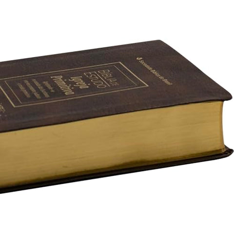 Image of BIBLIA EM PORTUGUES NAA DE ESTUDO IGREJA PRIMITIVA