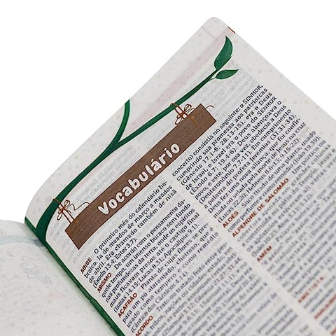 Image of BIBLIA EM PORTUGUES NTHL EXPLICADA PARA CRIANÇAS COM ILUSTRAÇÕES SMILINGUIDO CAPA CURA