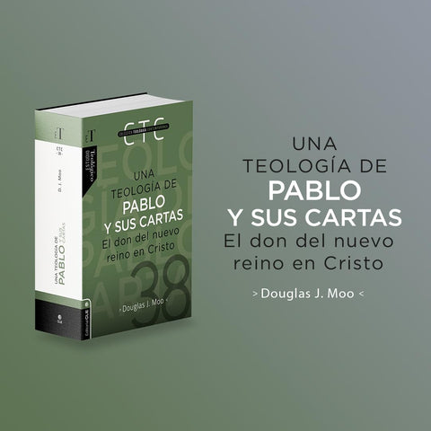 Image of UNA TEOLOGIA DE PABLO Y SUS CARTAS
