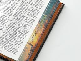 Image of BIBLIA RVR 1960 TAMANO MANUAL LETRA GRANDE TAPA DURA PASTOR TAPA DURA