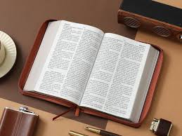 Image of BIBLIA RVR 1960 LETRA GIGANTE TAMANO MANUAL LEON DE JUDA SIMIL PIEL