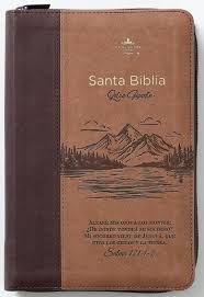 Image of BIBLIA RVR 1960 LETRA GIGANTE TAMANO MANUAL MONTES SIMIL PIEL