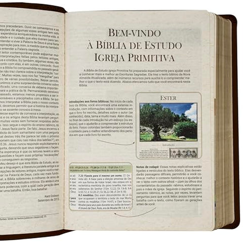 Image of BIBLIA EM PORTUGUES NAA DE ESTUDO IGREJA PRIMITIVA