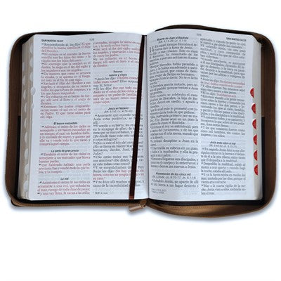 Image of Biblia RVR 1960 Letra Gigante Café Ichtus Símil Piel con Índice y Cierre