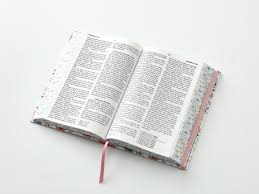 Image of BIBLIA RVR 1960 LETRA GRANDETAMANO MANUAL TAPA DURA PRIMAVERA BLANCA TAPA DURA