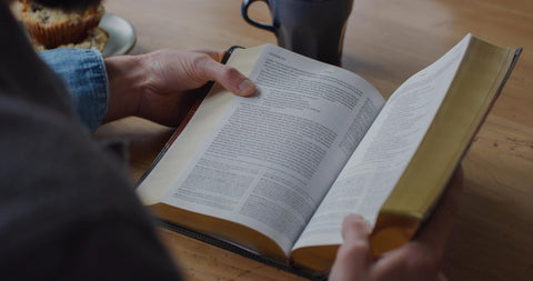 Image of ESV PERSONAL SIZE STUDY BIBLE (TRUTONE, FOREST/TAN)