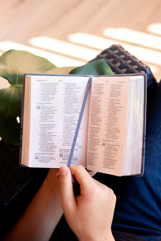 Image of BIBLIA NBLA EDICION VERSIFICADA TAMANO BOLSILLO PIEL GRIS PALABRAS DE JESUS EN ROJO COMFORT PRINT