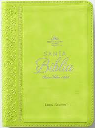 Image of BIBLIA RVR 1960 LETRA GRANDE TAMANO MANUAL NEOCLASSIC VERDE LIMA SIMIL PIEL
