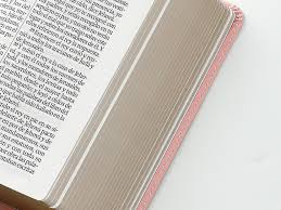 Image of BIBLIA RVR 1960 LETRA GRANDE TAMANO MANUAL NEOCLASSIC ROSA SIMIL PIEL