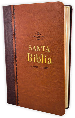 BIBLIA RVR 1960 TAMANO MANUAL LETRA GRANDE 12 PT SIMIL PIEL NEGRO GRIS BITONO