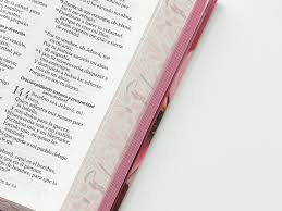 Image of BIBLIA RVR 1960 LETRA GRANDETAMANO MANUAL TAPA DURA FLOR ROSA TAPA DURA
