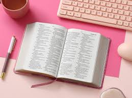 Image of BIBLIA RVR 1960 LETRA GRANDE TAMANO MANUAL BICOLOR ROSA ROSA SIMIL PIEL