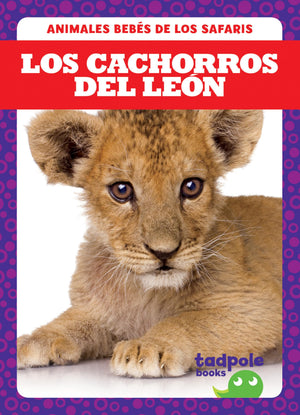 LOS CACHORROS DEL LEON