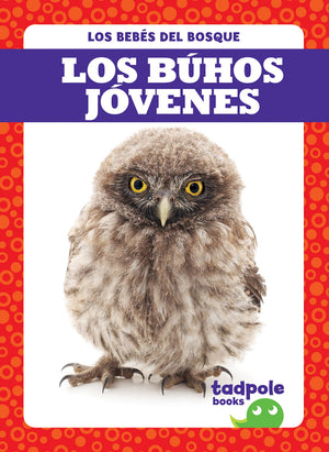 LOS BUHOS JOVENES