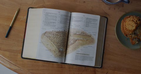 Image of ESV PERSONAL SIZE STUDY BIBLE (TRUTONE, FOREST/TAN)